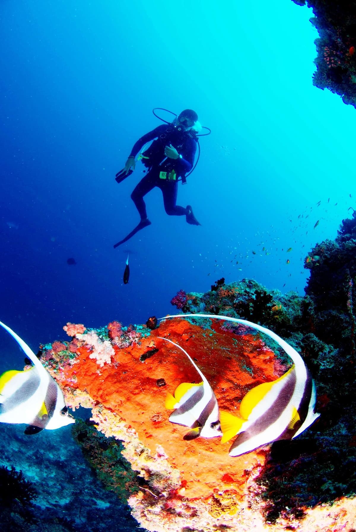 anantara-veli-maldives-resort-5